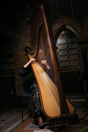 Harpist Salina - Harpists from London
