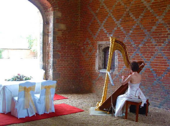 ACF Harp - Harpists from Hampshire