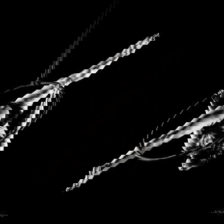 Aerial Amy - Circus Acts from London