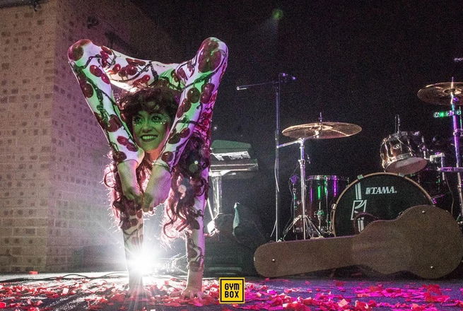 Contortionist Claudia - Circus Acts from Essex