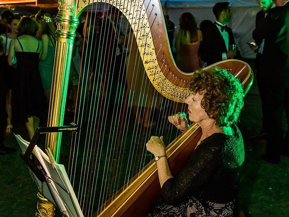 ACF Harp - Harpists from Hampshire