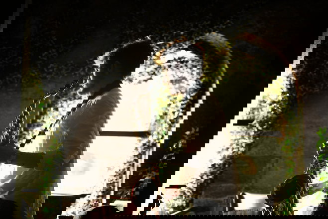 Cartier Sax - Saxophone Players from London