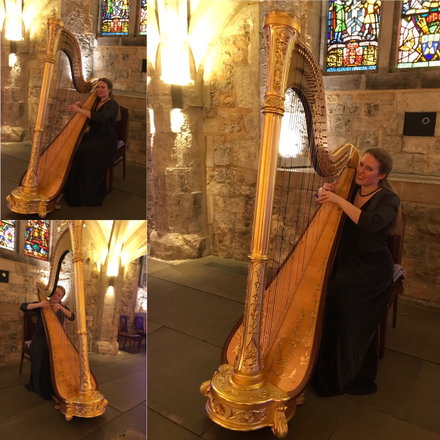 SW Harpist - Harpists from London