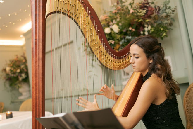 Harpist Salina - Harpists from London