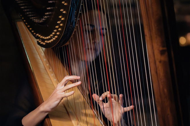 Harpist Salina - Harpists from London
