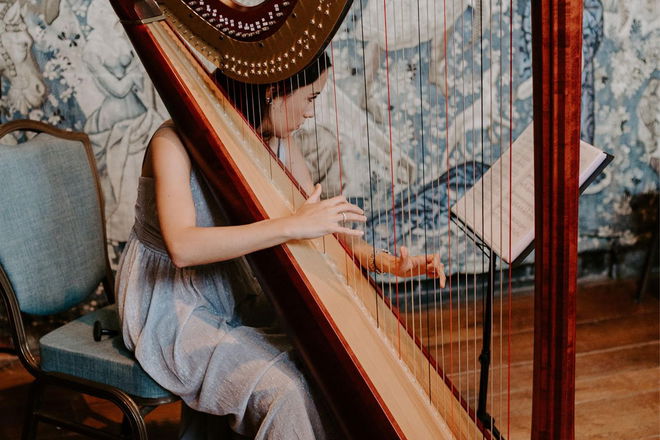 Harpist Salina - Harpists from London