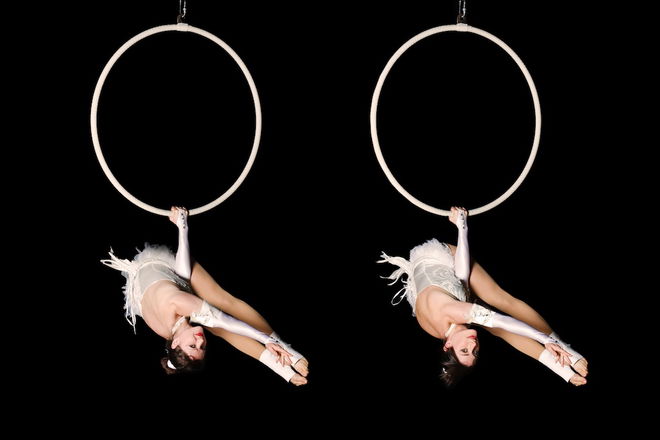 Aerial Hoop Displays - Circus Acts from London
