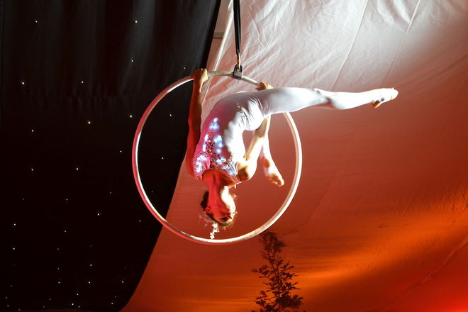 Aerial Hoop Displays - Circus Acts from London
