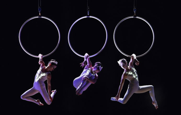 Aerial Hoop Displays - Circus Performers from London