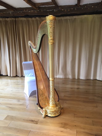 SW Harpist - Harpists from London