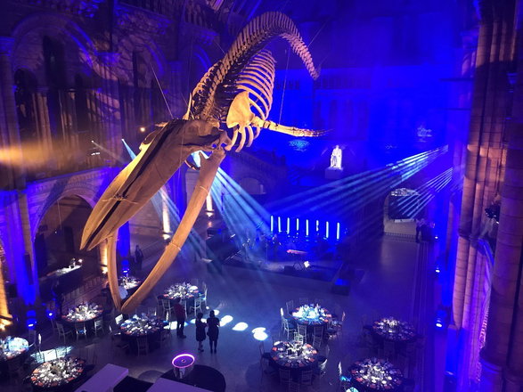 Seven - Wedding & Party Bands from London