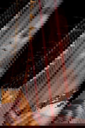 Cecile Harpist - Harpists from London