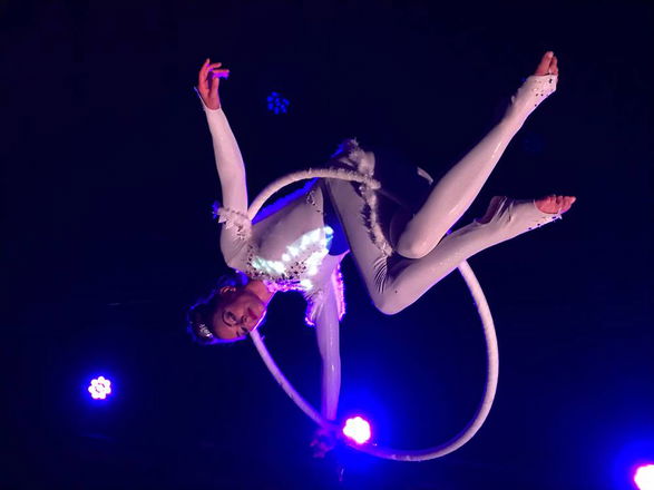 Aerial Hoop Displays - Circus Acts from London