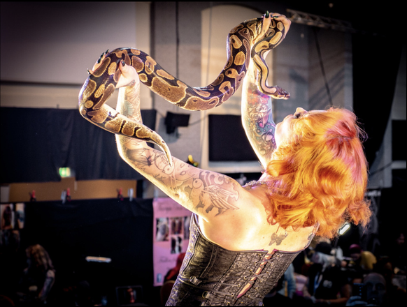 The Ultimate Circus Experience - Circus Performers from Lancashire