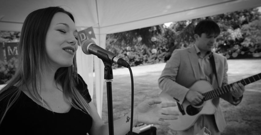 Hummingbird - Solo Duo and Trios from London