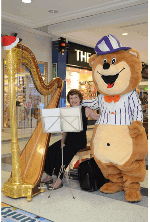 ACF Harp - Harpists from Hampshire