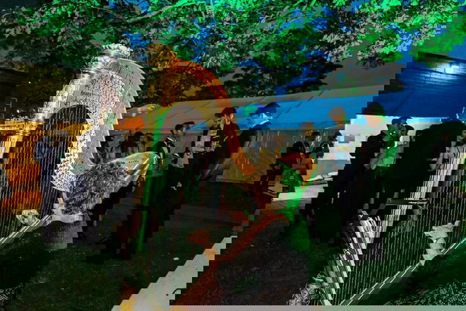 ACF Harp - Harpists from Hampshire