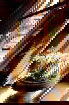 ACF Harp - Harpists from Hampshire