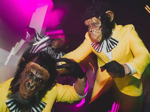 Walkabout Chimps - Mix and Mingle from Kent