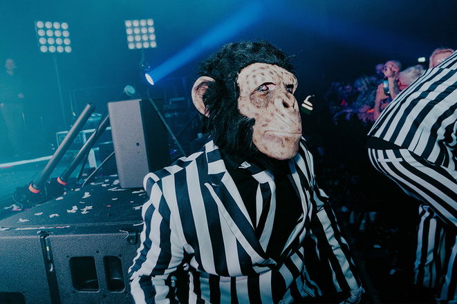 Walkabout Chimps - Mix and Mingle from Kent