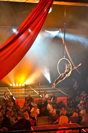 Aerial Hoop Displays - Circus Acts from London